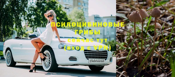 ECSTASY Горнозаводск