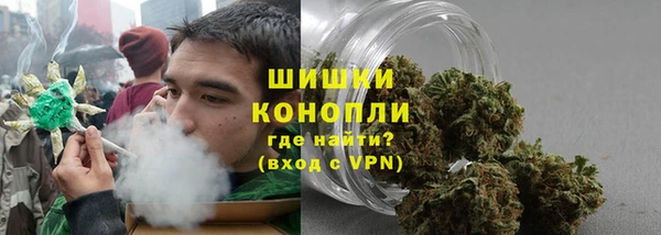 СК Горняк