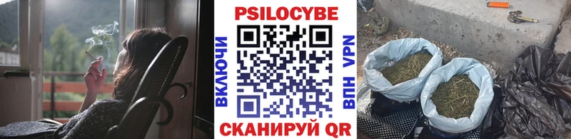 Галлюциногенные грибы MAGIC MUSHROOMS  Купить где  Нея 